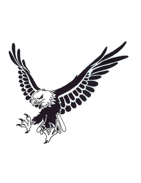 Black Silhouette of White Eagle Isolated Drawing of American Symbol Stock  Vector  Illustration of predator haliaetus 125910809