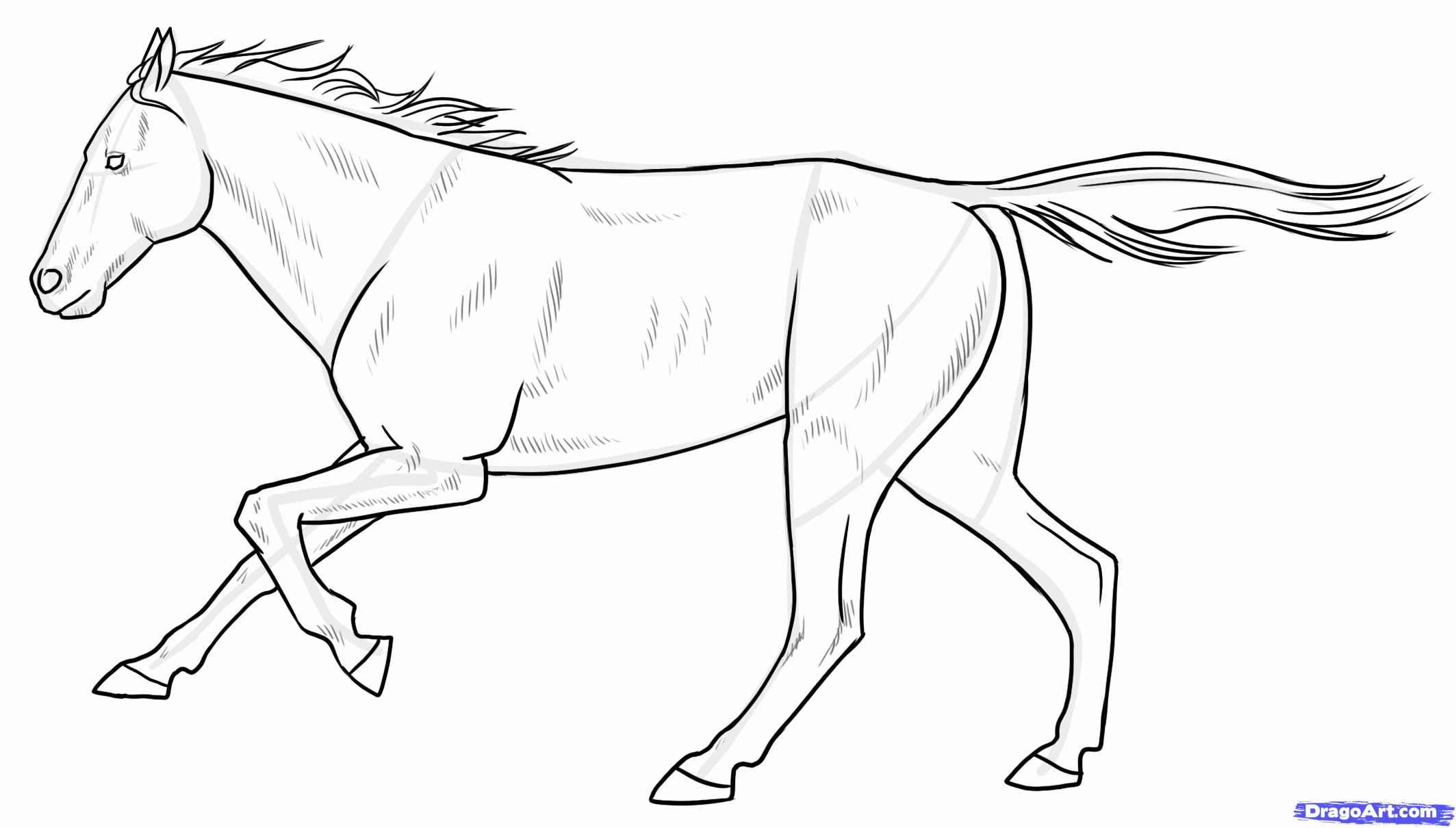 running horses drawings easy