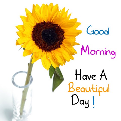 good morning have a great day clipart - Clip Art Library