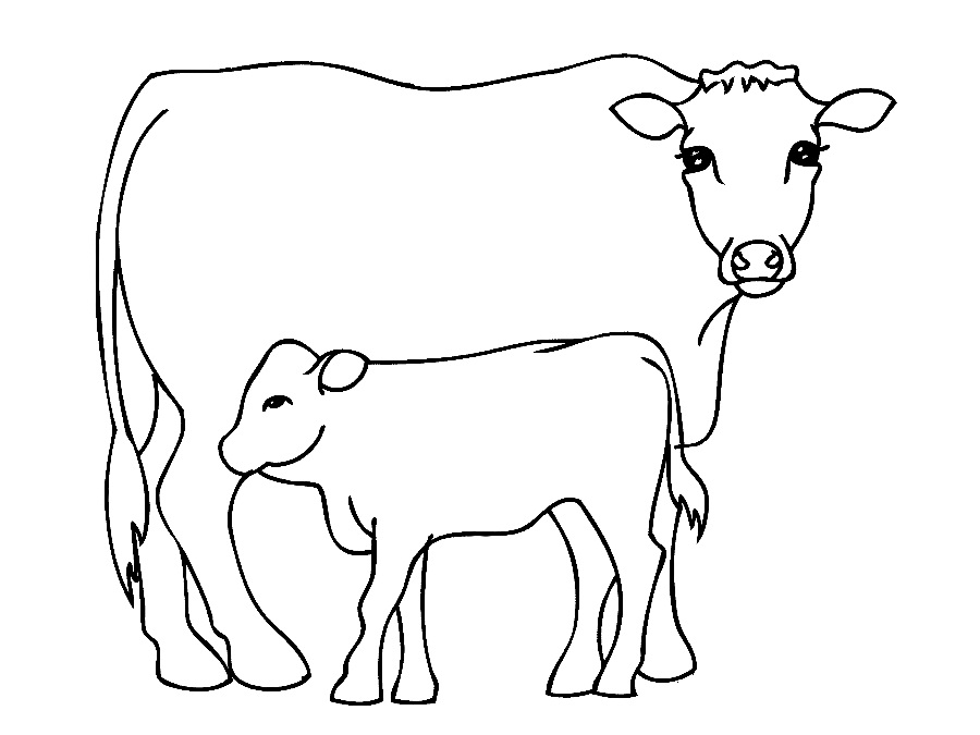 baby cow Colouring Pages (page 3)