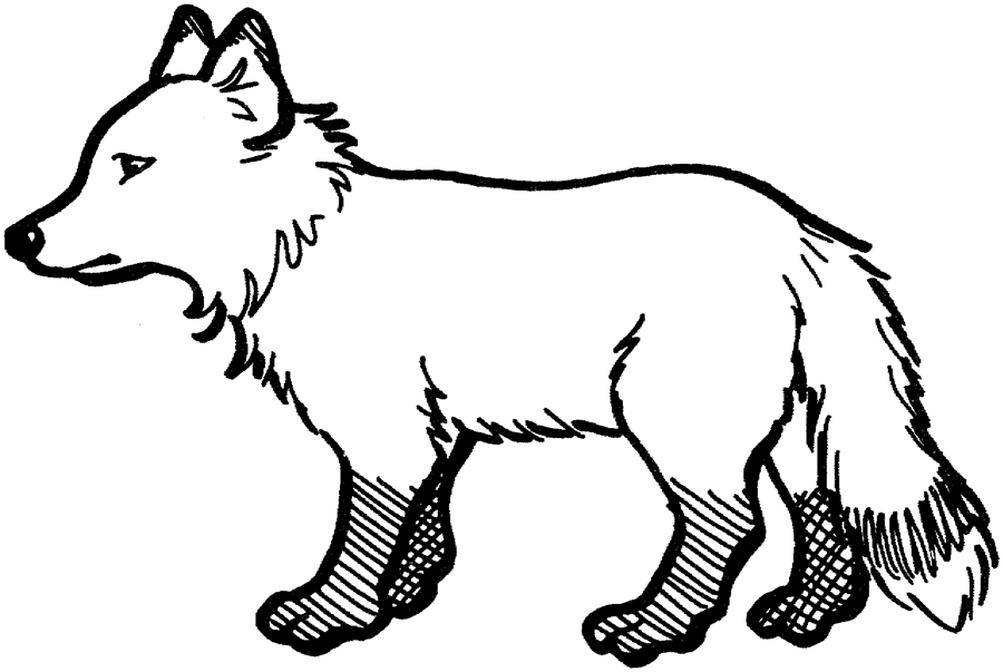Black And White Fox Clipart