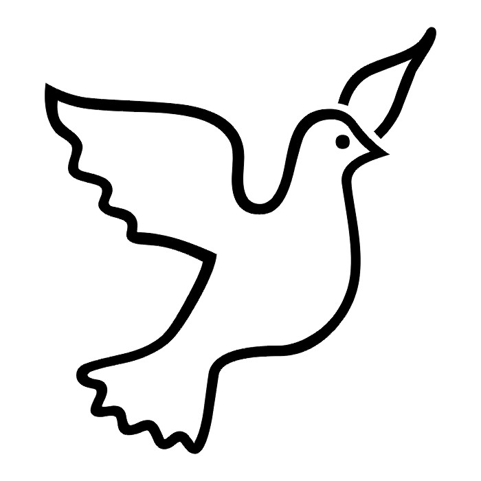 bird symbol of freedom