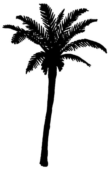 Pix For  Palm Tree Silhouette Png 