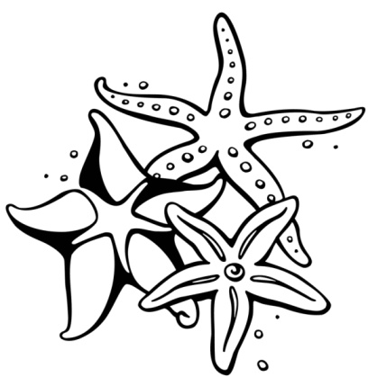 starfish' in Tattoos • Search in +1.3M Tattoos Now • Tattoodo