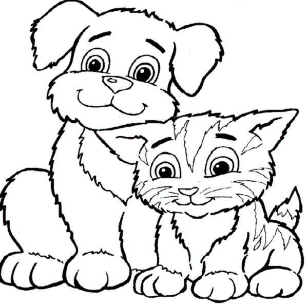 Cat Drawing Animated To Download Free - Clipart library