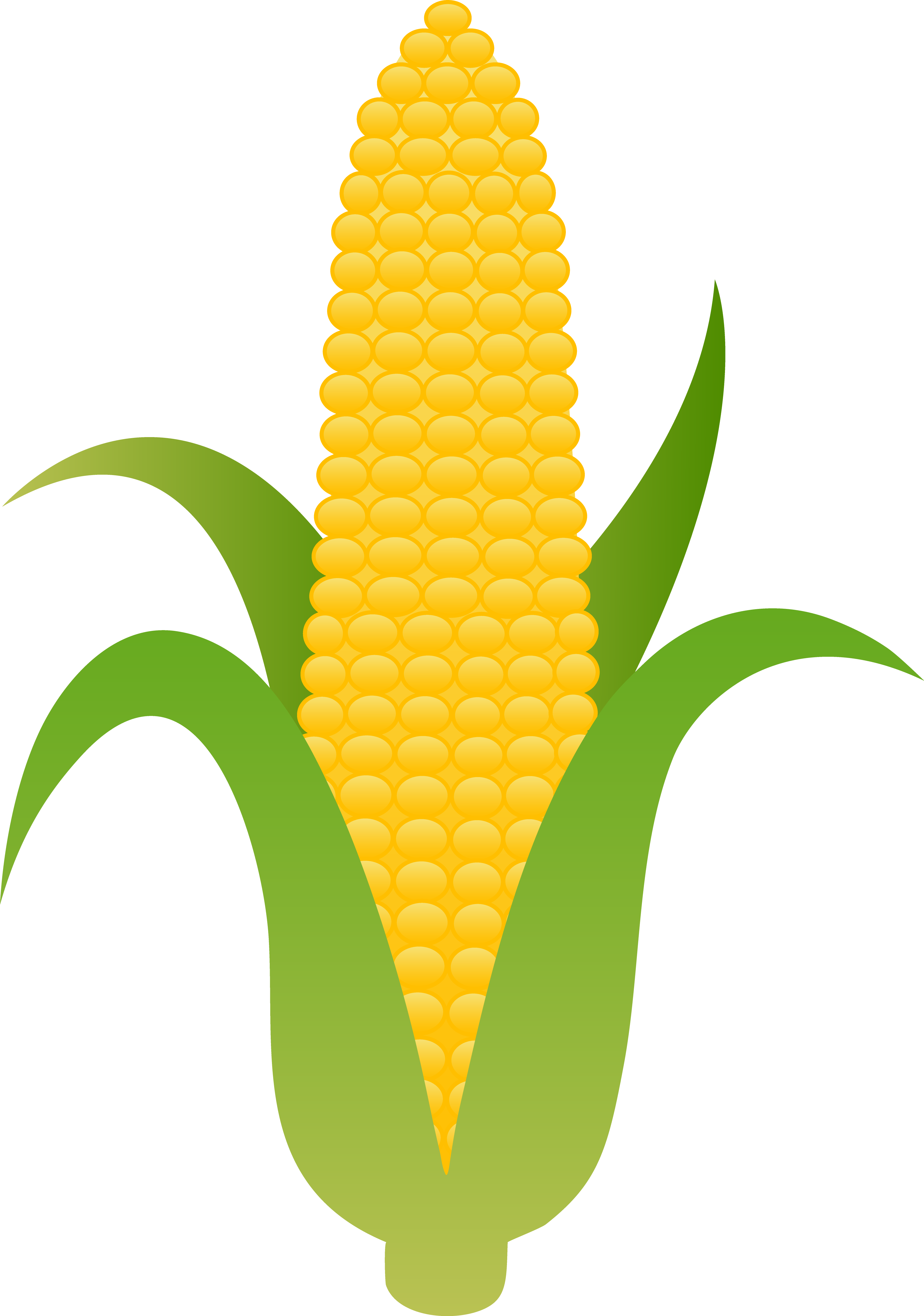 Images For  Clip Art Corn On The Cob