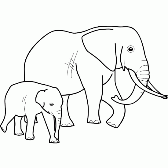 Animals coloring for kids pets and wild animals  wall stickers draw  small style  myloviewcom