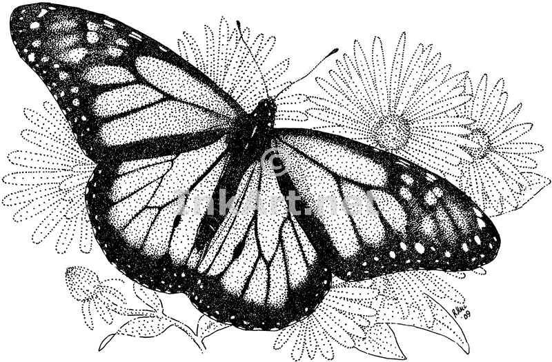 Monarch Butterfly Stock Art Illustration