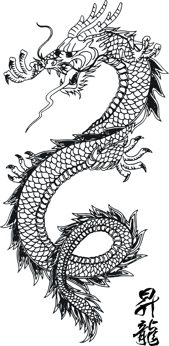 Dragon 54 Chinese new Year 2 12 Art Coloring Book Colouring Sheet 
