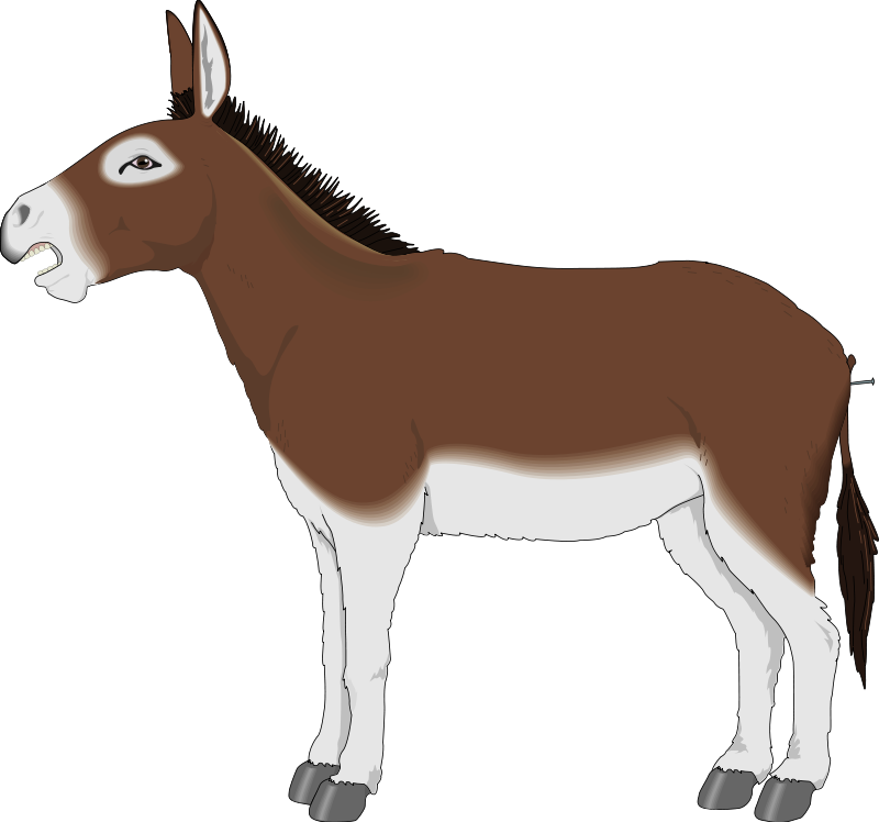 Donkey 2 Free Vector 