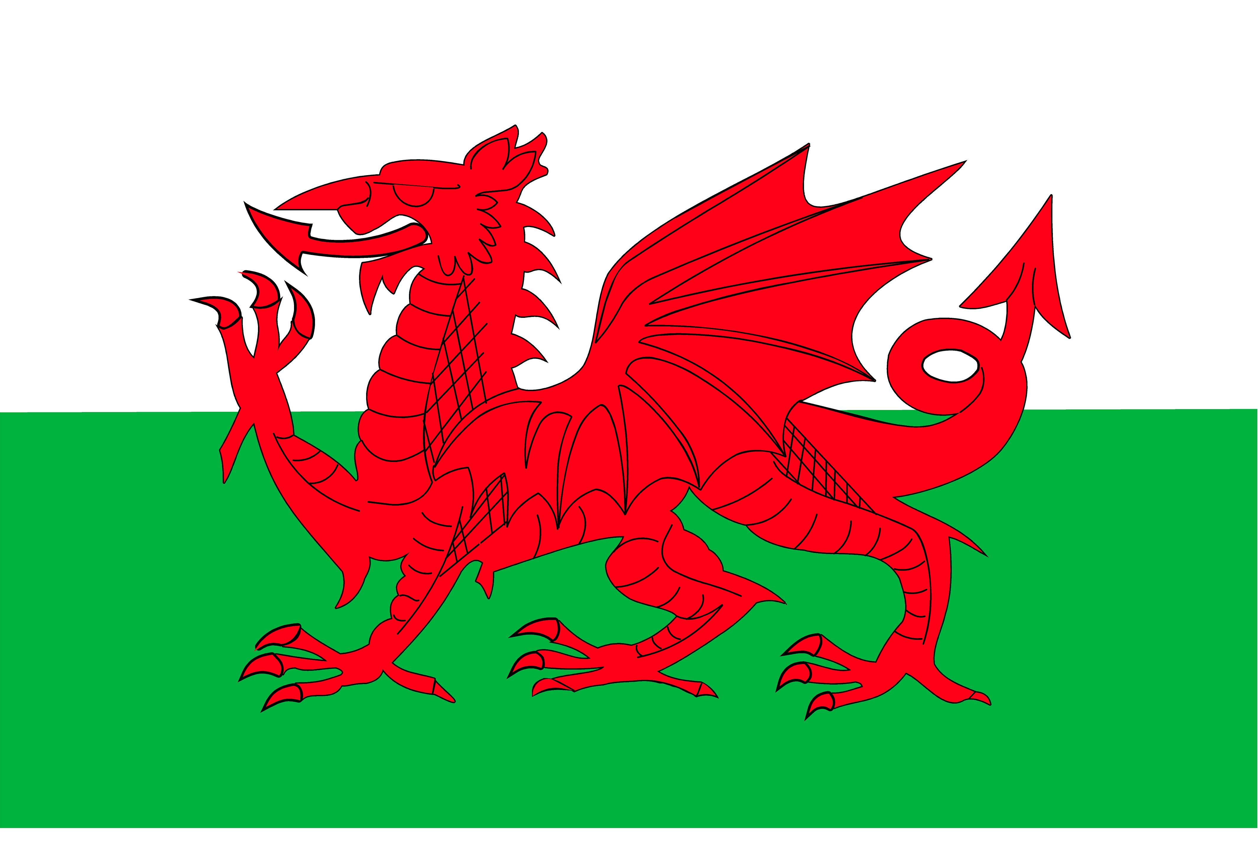 Welsh. Флаг Уэльса. Уэльс флаг и герб. Флаг Уэльса 1807 год. Флаг валлийцев.