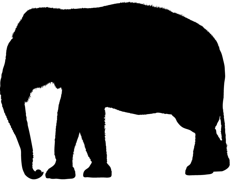 Indian Elephant Silhouette Images  Pictures - Becuo