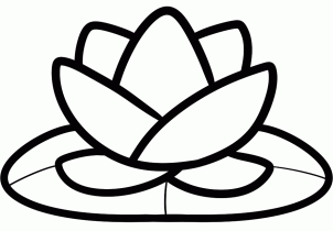 Realistic Lotus Flower Drawing // Lotus Flower Drawing Easy // Step By Step  // Pencil Drawing - YouTube