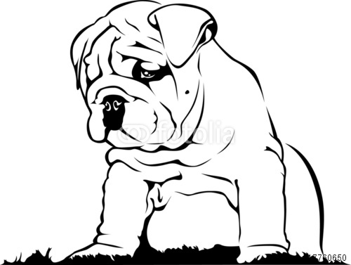 How to draw English Bulldog  Step by step Drawing tutorials