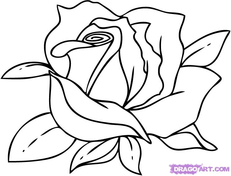 How to Draw a Cartoon Rose, Step by Step, Flowers, Pop Culture 