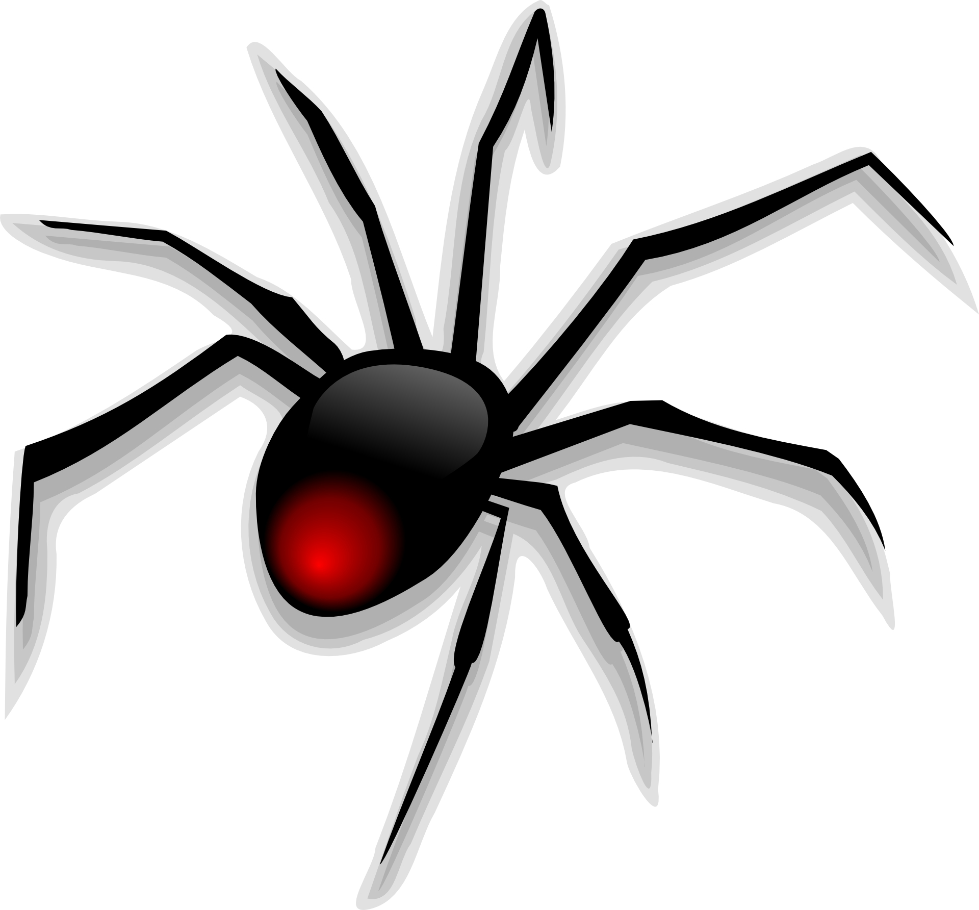 Cartoon animal-black spider vector | Free PSD,Vector,Icons