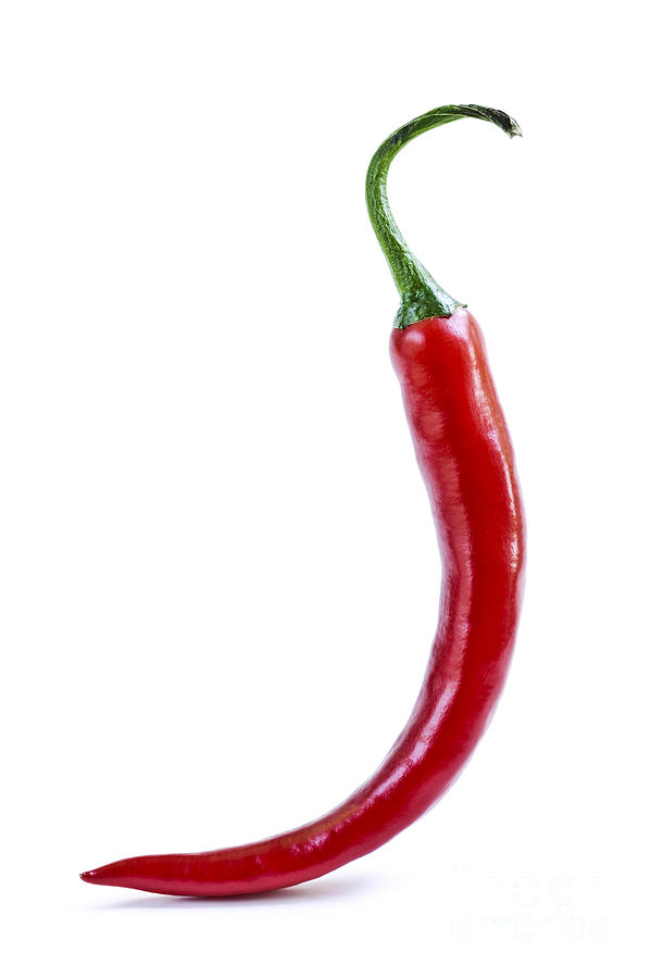 Red Hot Chili Pepper by Elena Elisseeva - Red Hot Chili Pepper 