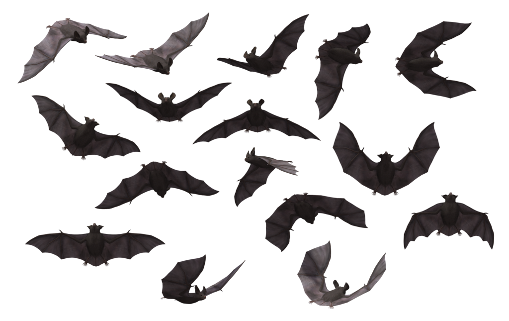 Clipart library: More Like 6 Purple Dragons Exclusive PNG by CelticStrm 