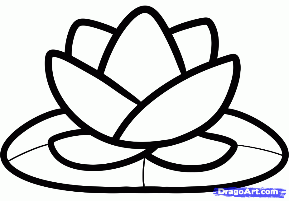 How to draw a Lotus flower | Lotus flower drawing | Lotus flower drawing  with oil pastel - YouTube