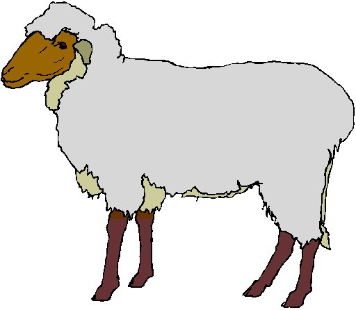 Stylized cartoon sheep with brown face, white woolly body, and dark legs standing in profile view.