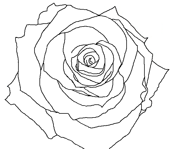 Roses line transparent background PNG cliparts free download | HiClipart