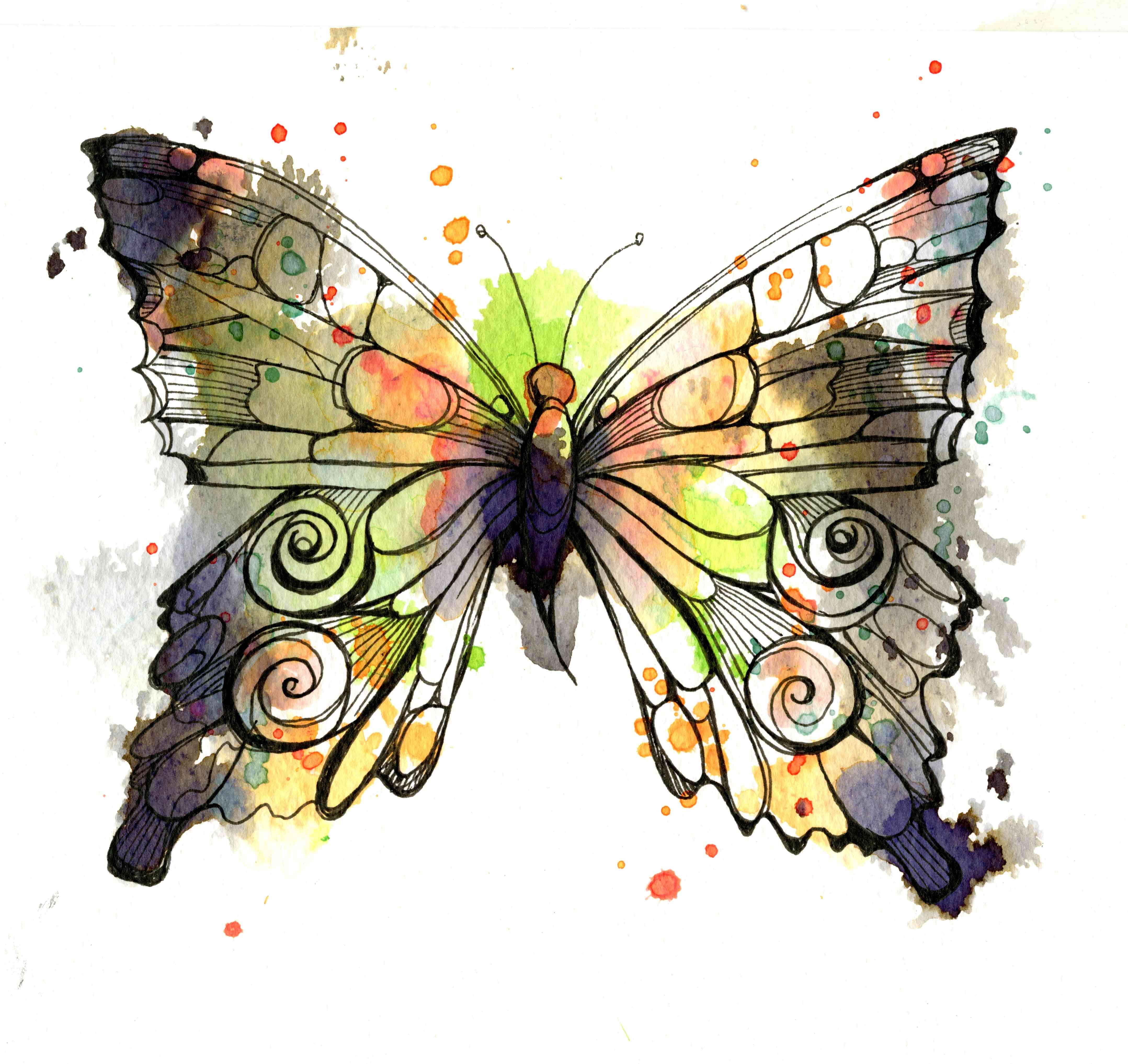 butterfly illustrations free download