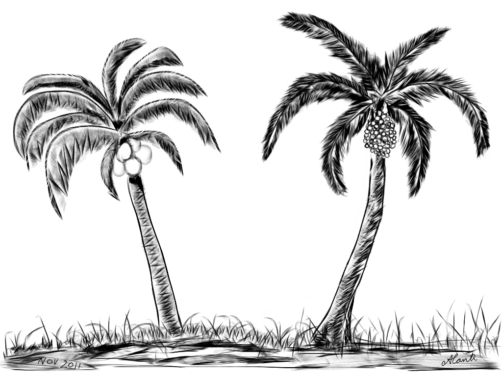 How to Draw a Palm Tree on an Island VIDEO  StepbyStep Pictures