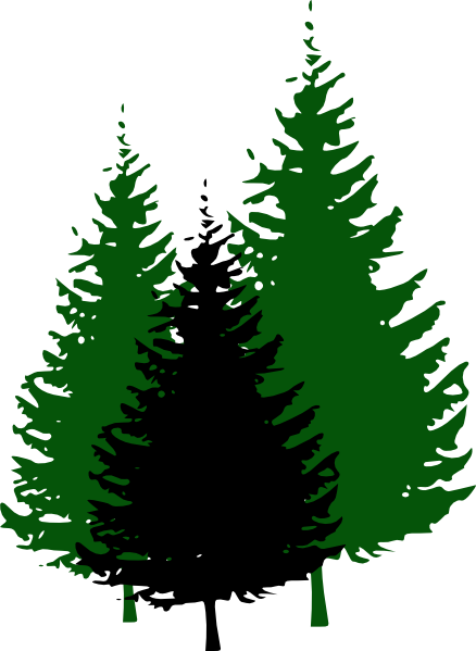 Silhouette Of Evergreen Tree - Clipart library
