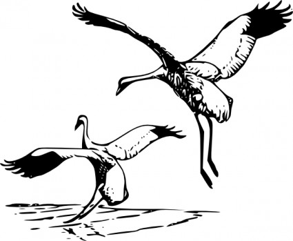 whooping cranes black and white - Clip Art Library