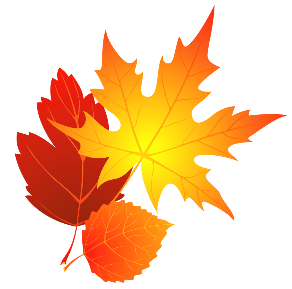 Transparent Fall Leaves Clipart