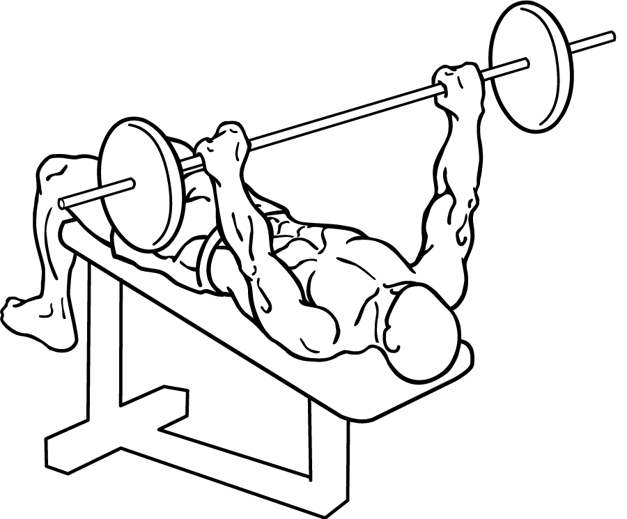 Flat Bench Barbell Press Images  Pictures - Becuo