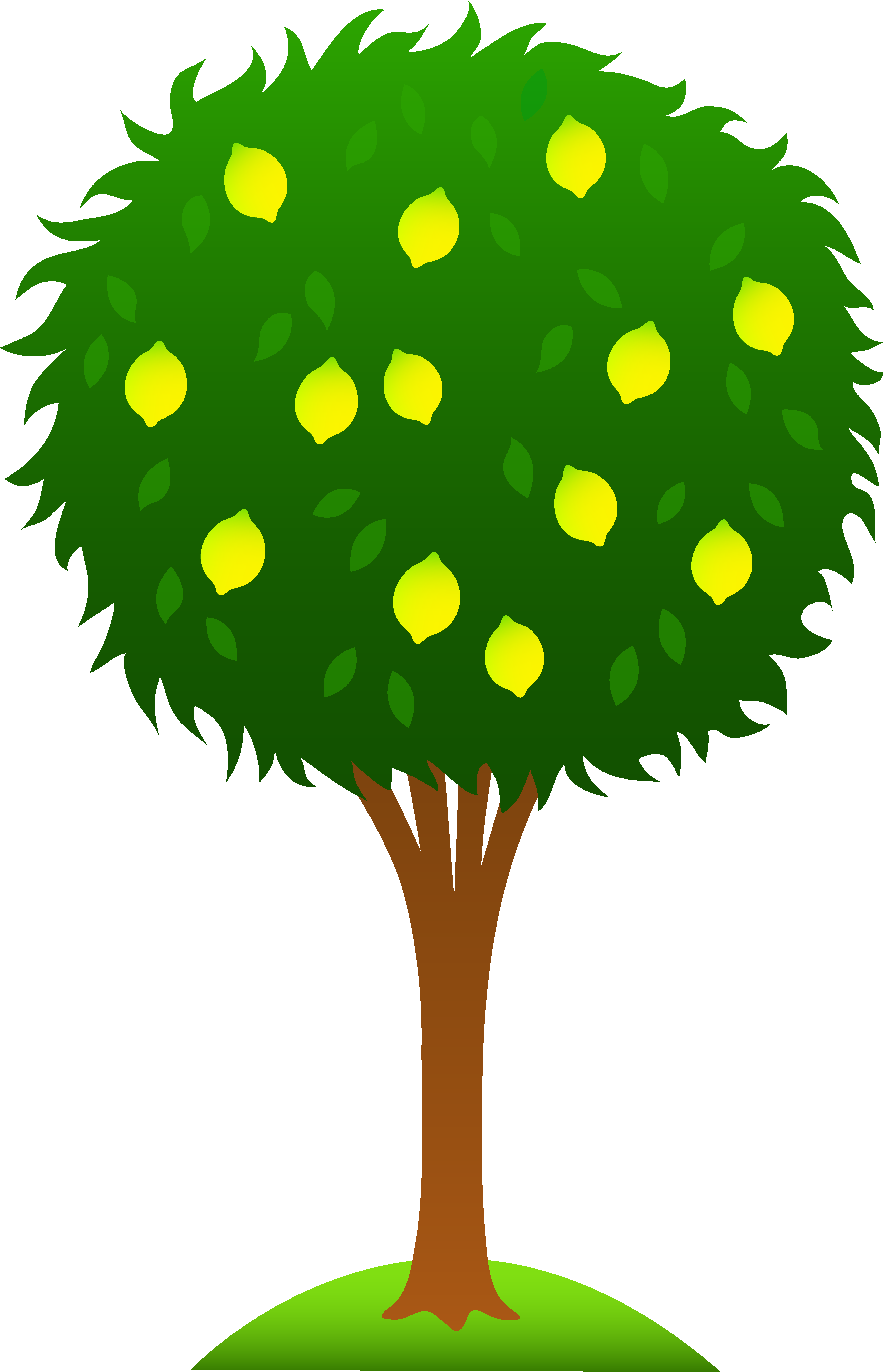 Pix For  Fruit Tree Cartoon