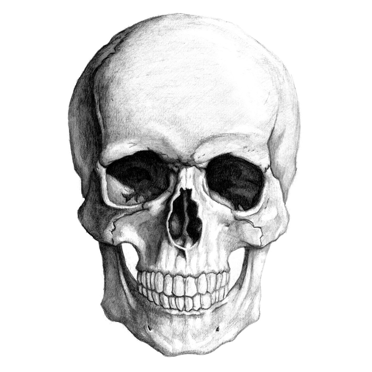 Skull Drawing | Viralnova