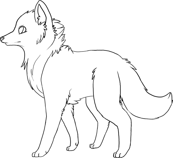 Wolf Anatomy Help - Artician Discussion Forums