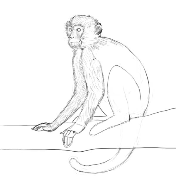 Monkey drawing hi-res stock photography and images - Alamy