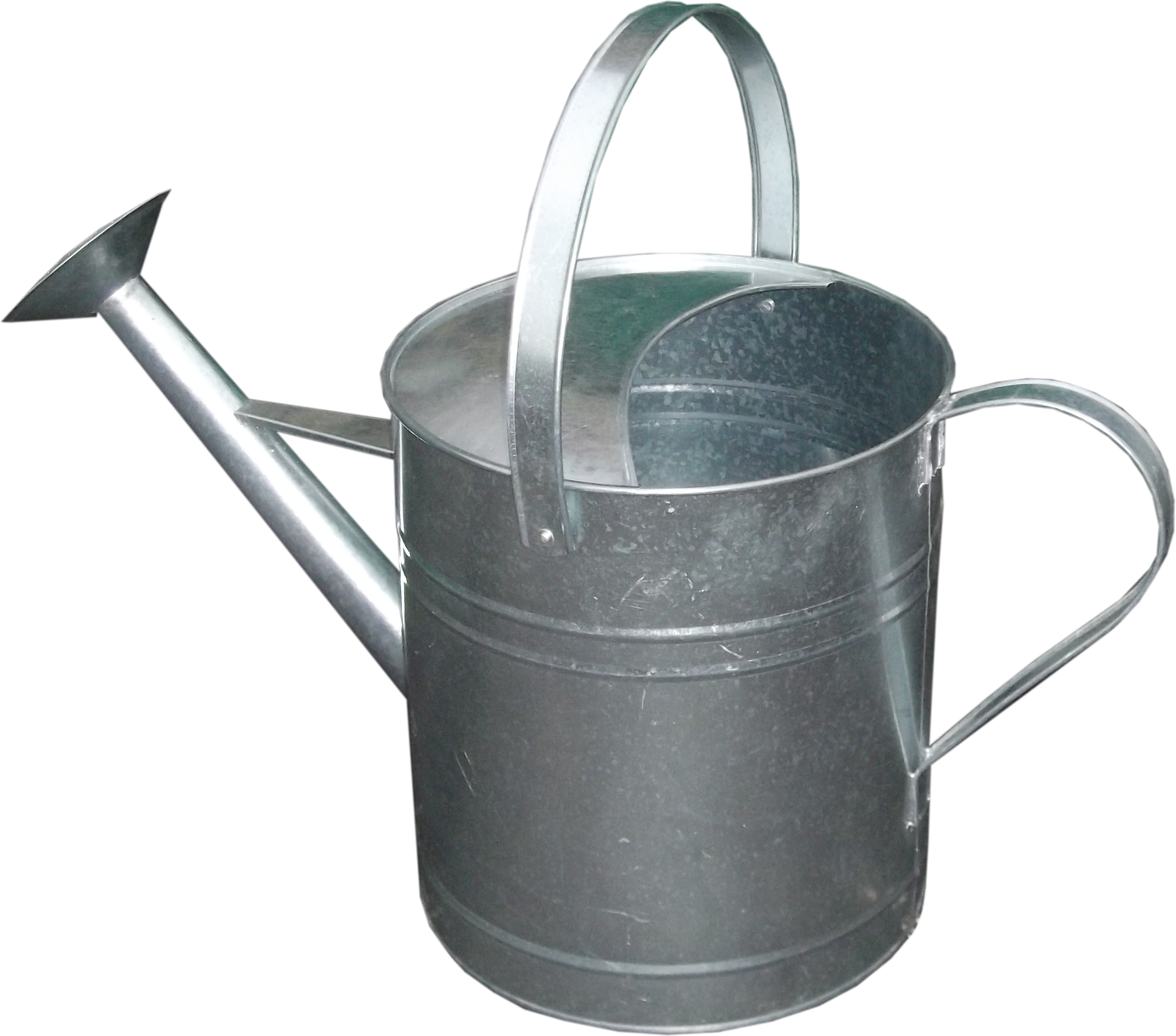 Galvanised Metal Rose Watering Can 9 Litre / 2 Gallon Plant Garden 