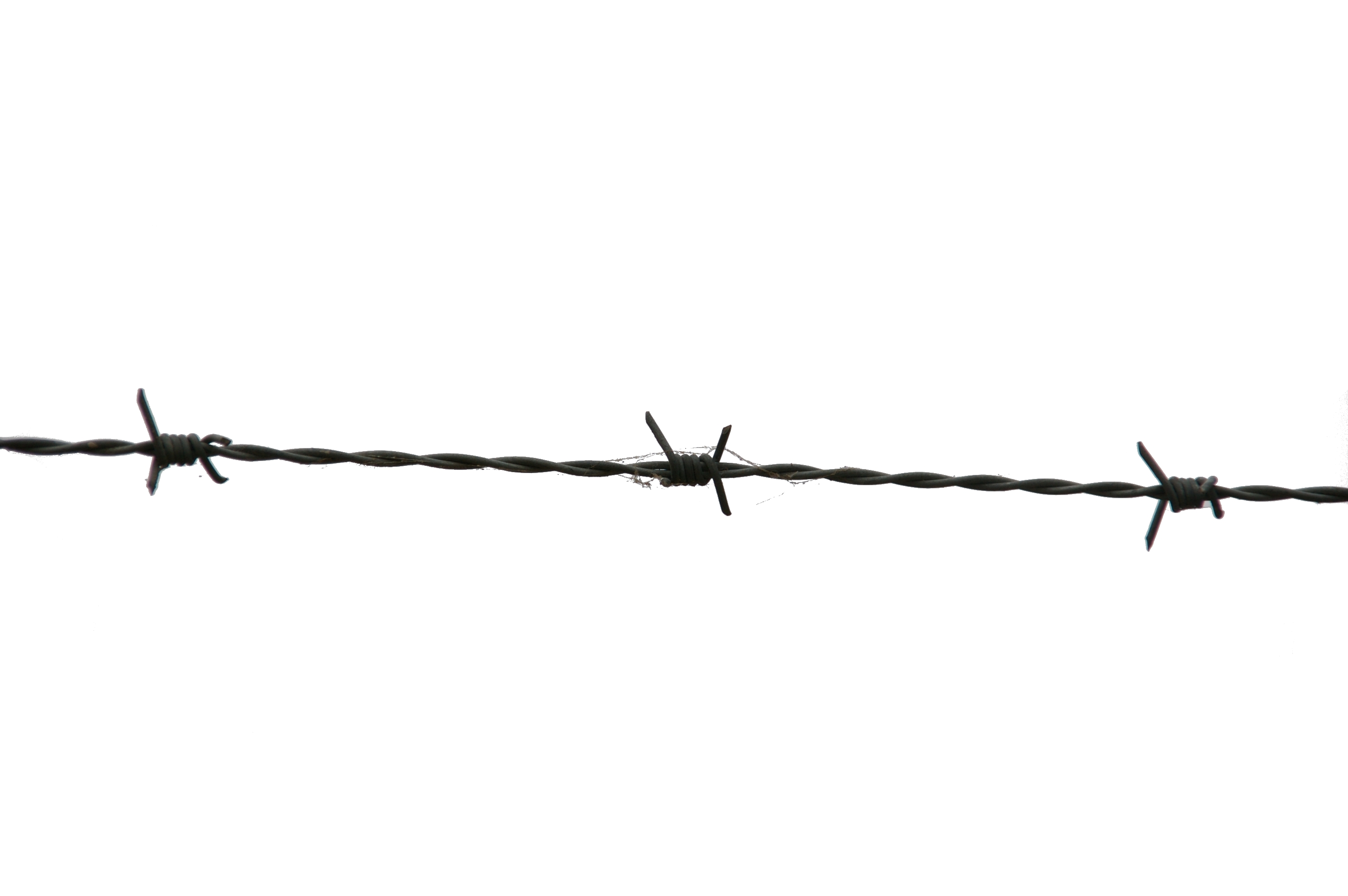 barb wire drawing