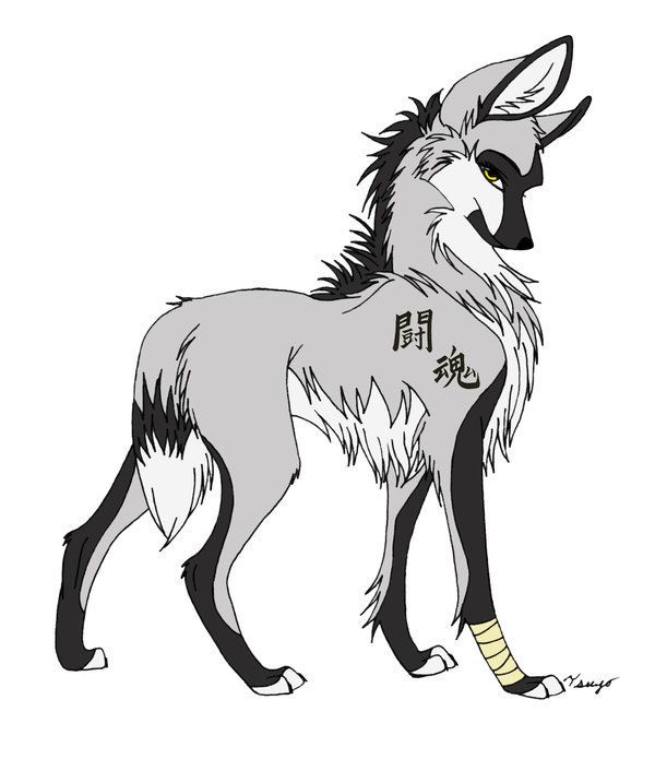Gray wolf Anime Drawing Pack, BLUE WOLF, cat Like Mammal, carnivoran, furry  Fandom png | Klipartz