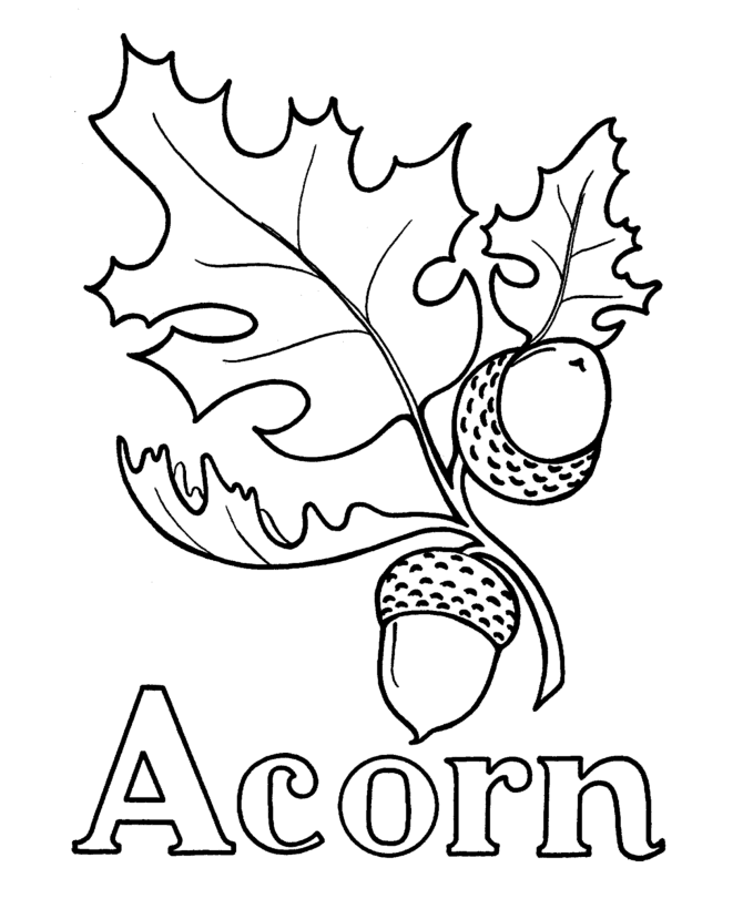 Fall and Acorn Coloring Pages - Coloring Pages