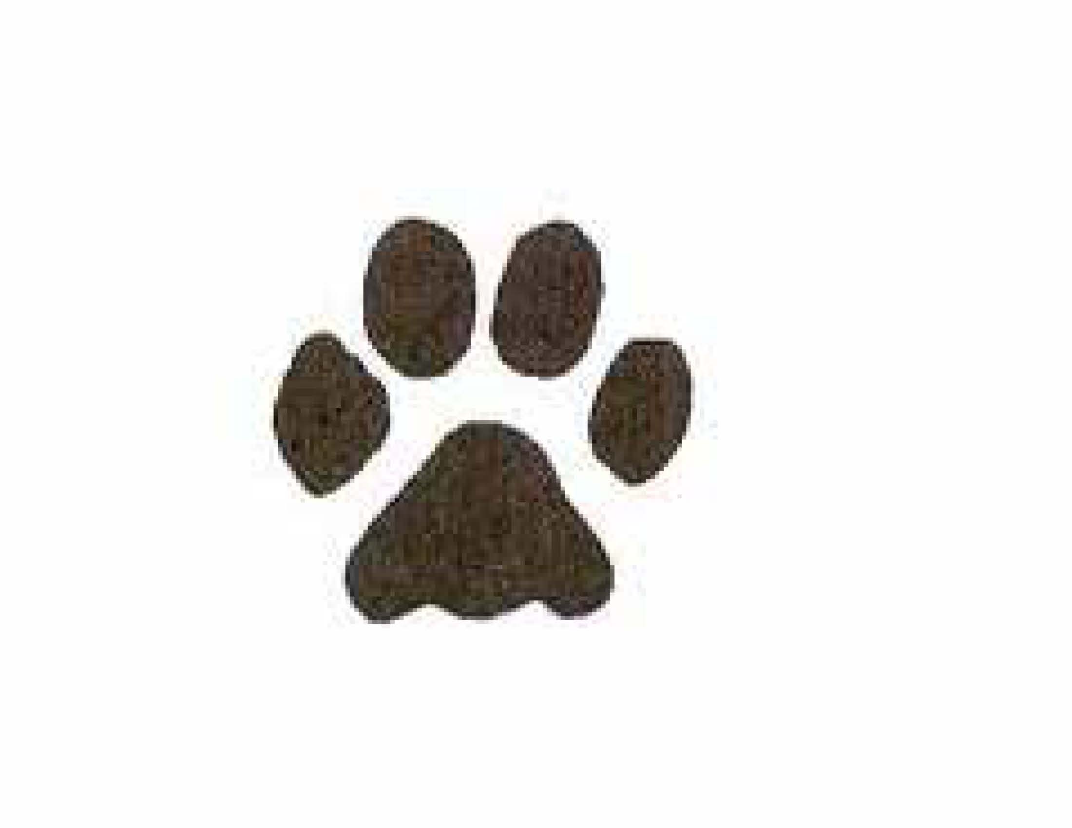 Dog cat pet animal paw foot hand drawn ink sketch frame border art vector  Stock Vector Image & Art - Alamy