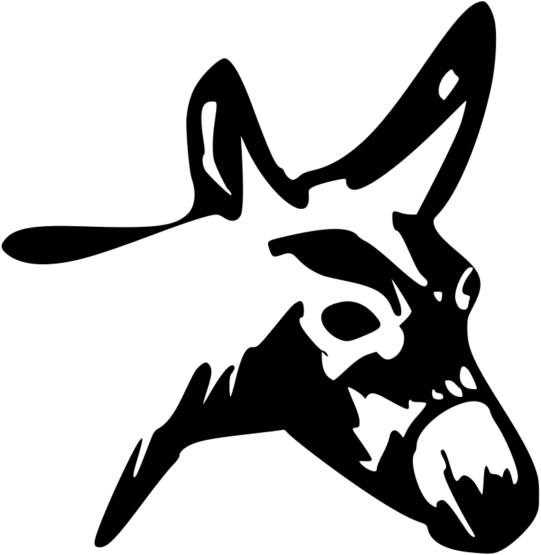 Blank image placeholder with no visible content.