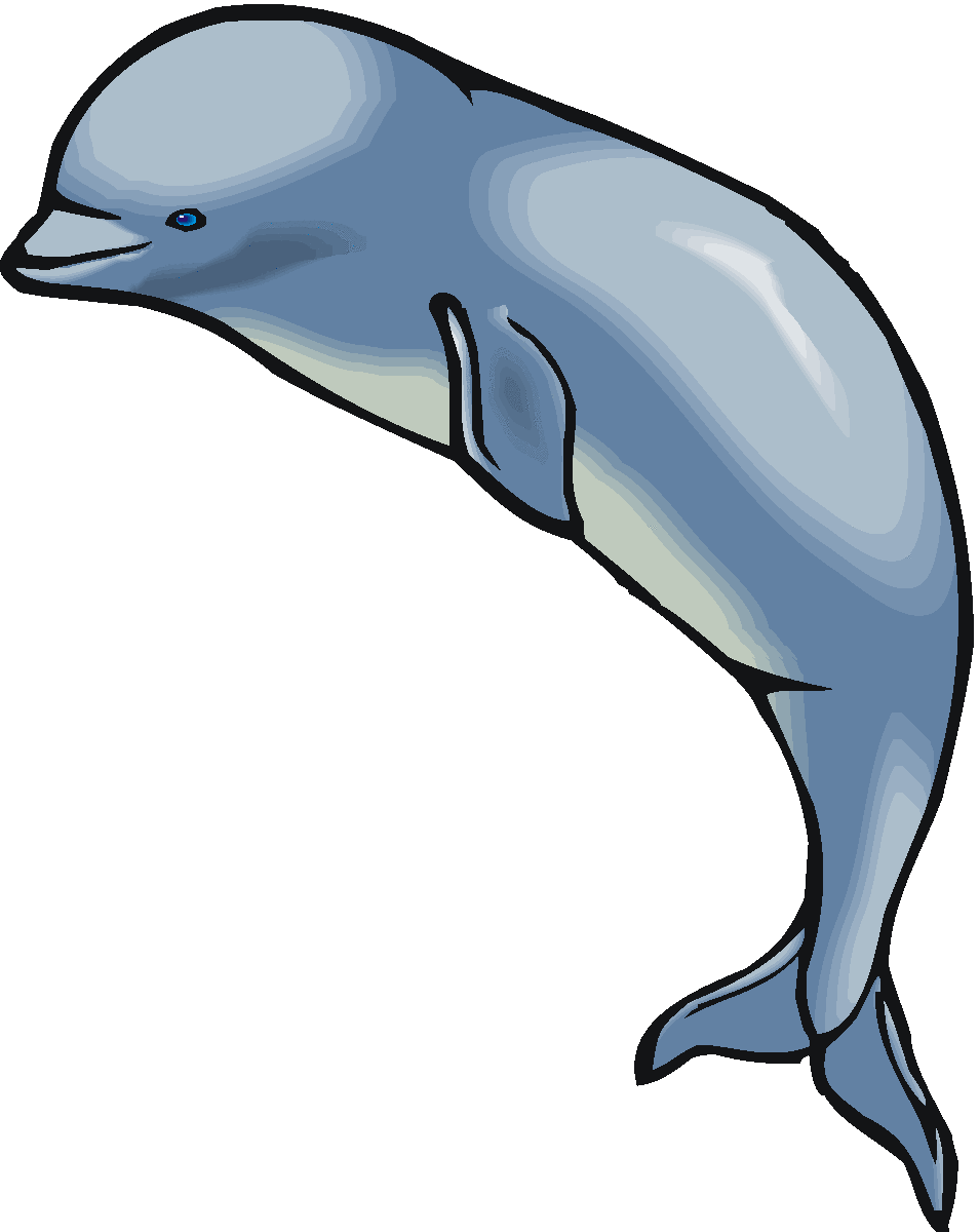 Beluga Whale Animated Clipart For Kids