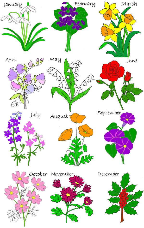 ✨Birth Flower Flash✨ January - Snowdrop February - Violet March - Daffodil  April - Swe… | Tatuajes flores pequeñas, Tatuajes diminutos de flores,  Tatuajes de flores