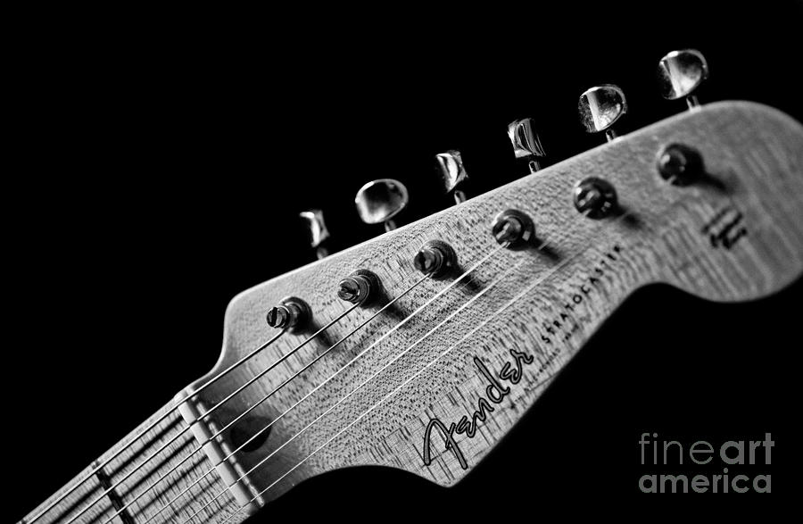 Fender Stratocaster Electric Guitar Black And White by Jani Bryson