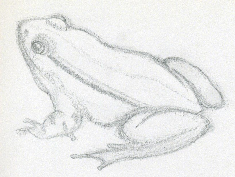 🐸 Kawaii Cute Frog Drawing Easy