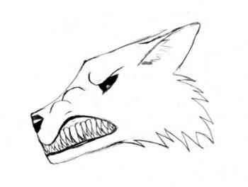 Easy to draw an Anime Wolf  Cute animal drawings