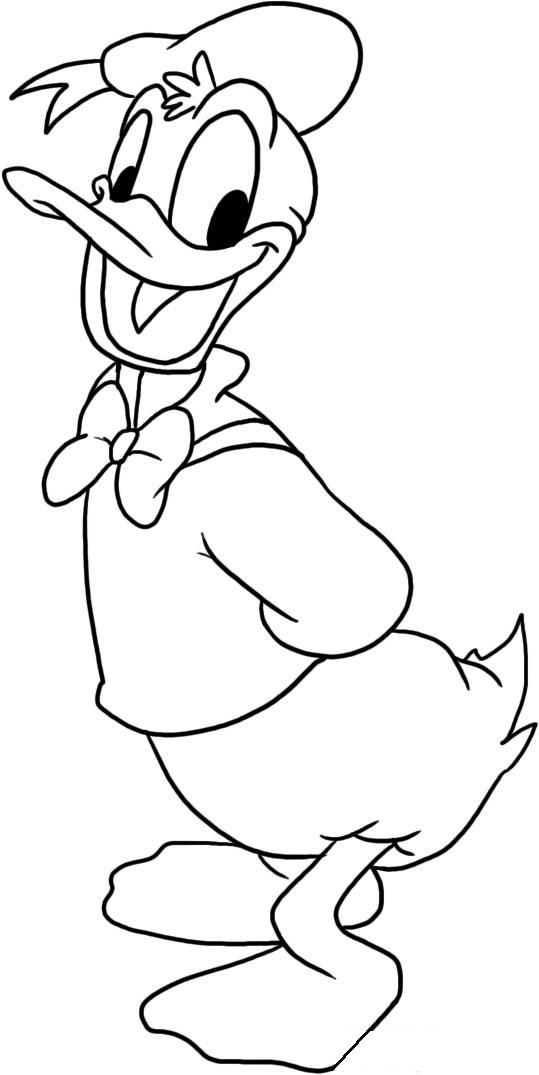 Donald Duck Himself