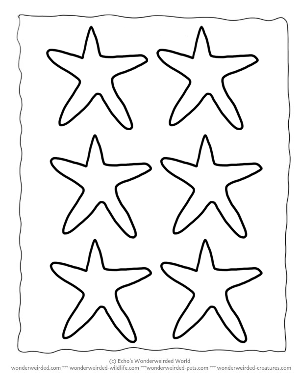 Starfish Outline Template