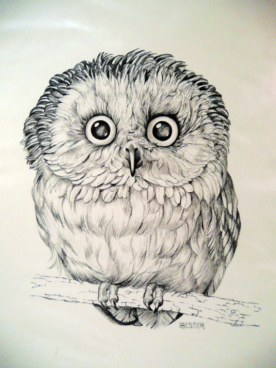 OWL art PRINT DRAWING by Besser printed for by angelinesattic