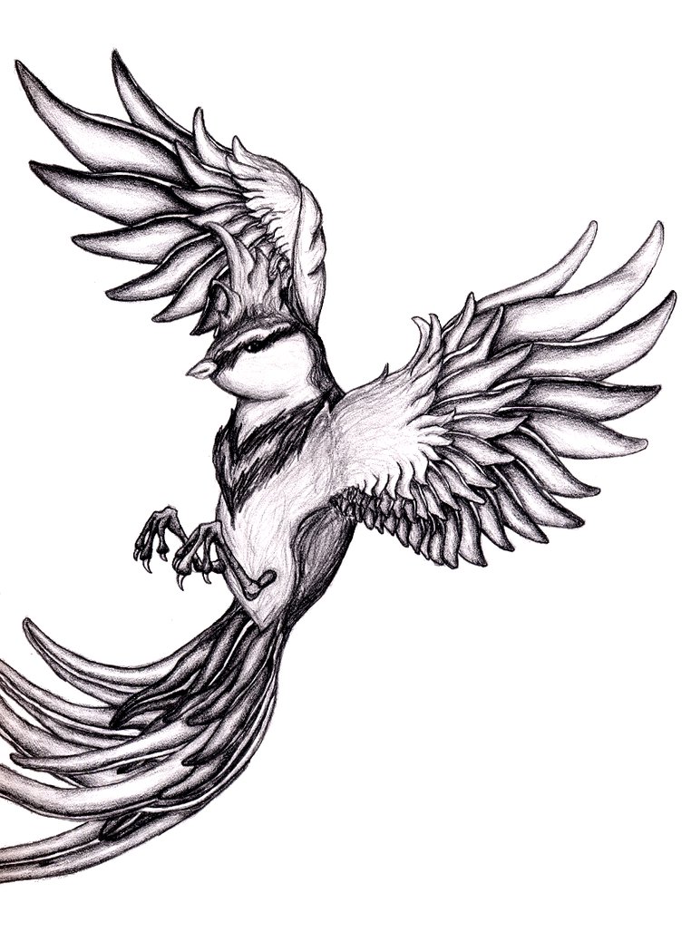 Share more than 161 flying bird drawing